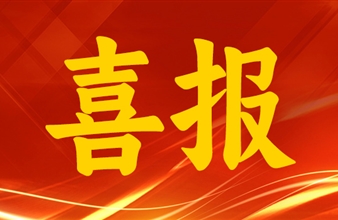喜报 | 豪门国际环保集团荣获2025垃圾焚烧发电“行业”五项大奖，彰显卓越综合实力